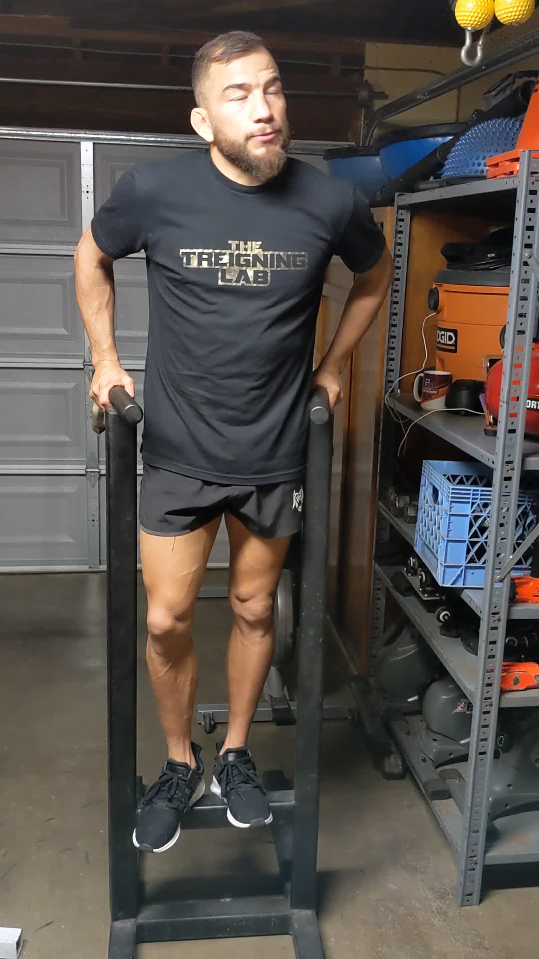 weighted dips